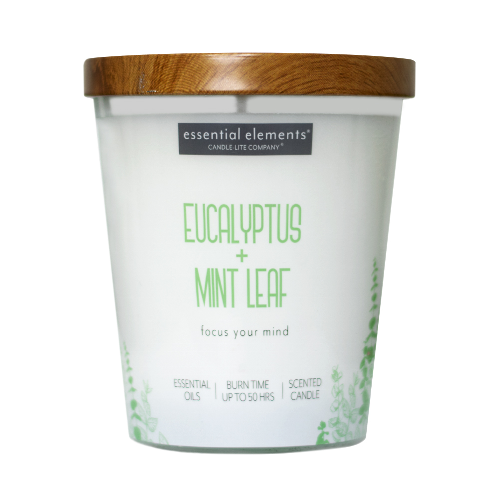 VELA 9 OZ ESSENTIAL ELEMENTS EUCALYPTUS & MINT LEAF CANDLE LITE (4471174)