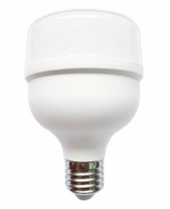 [19964B] BOMBILLO LED 30W LUZ DIA E27 (ZFR61) 
