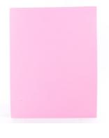 [AA1029] EVAFOAM CARTA PAQUETE X10 ROSADO MARDEN (091103)