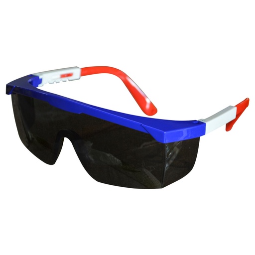 [11601] GAFA TIPO NORTON HOYOS LEN-NEGRO PATA COLOR ANTIEMPAÐANTE (HT70168/SF026-G/A)(NORMA ANSI Z87.1+EN166F+FIL UV)